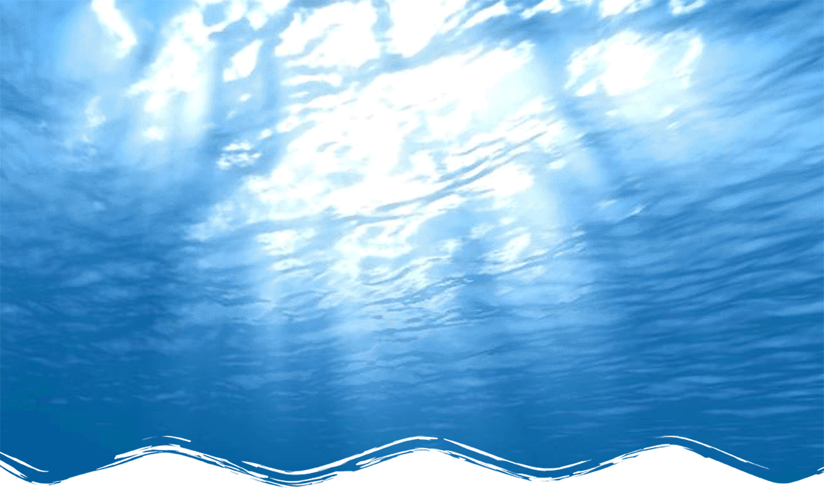 Havuz Yalıtım Hizmetleri